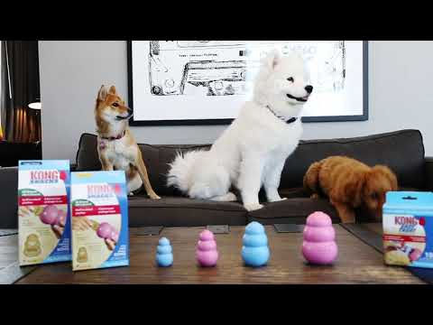 kong puppy immagine6