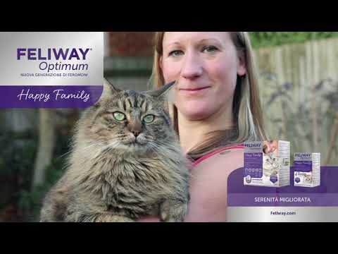 feliway optimum diffusore anti ansia cat immagine3