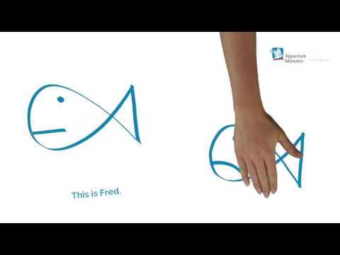 aquarium munster aquavital stress protect immagine3