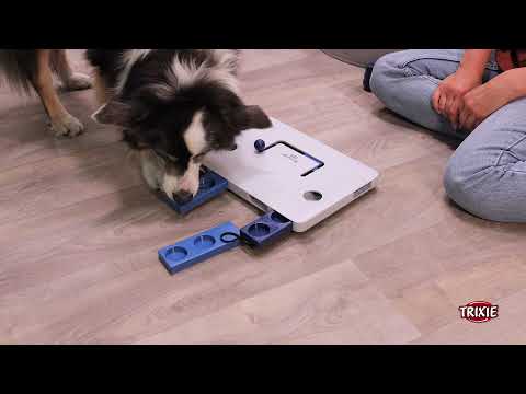 gioco attivazione mentale move2win trixie immagine3