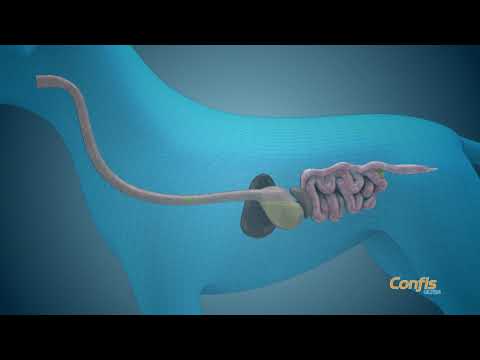 candioli pharma confis ultra supporto del metabolismo articolare compresse immagine2