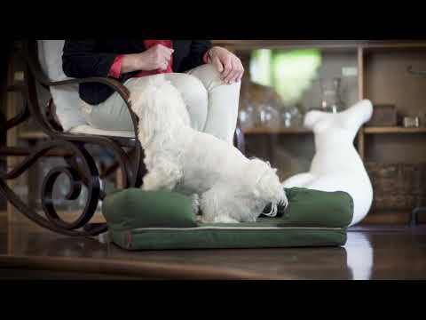 cuscino revenant limitless in memory foam croci immagine8