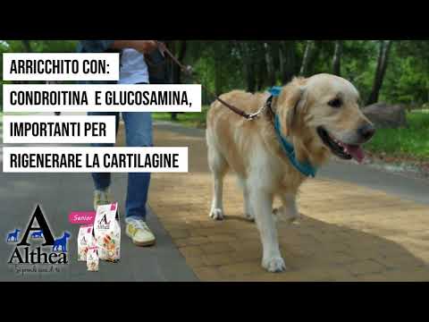 althea superpremium senior mini immagine3