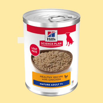 Cibo umido per cani anziani