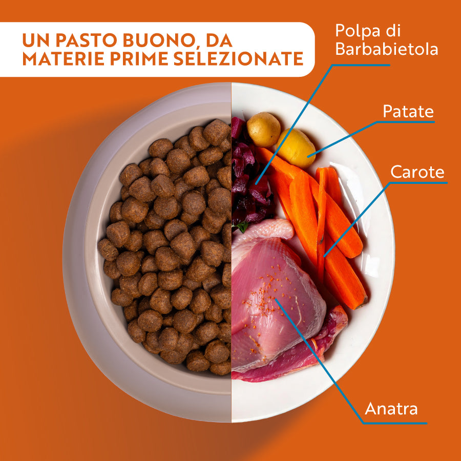 monopro lo specialista adult all breeds grain free anatra immagine3