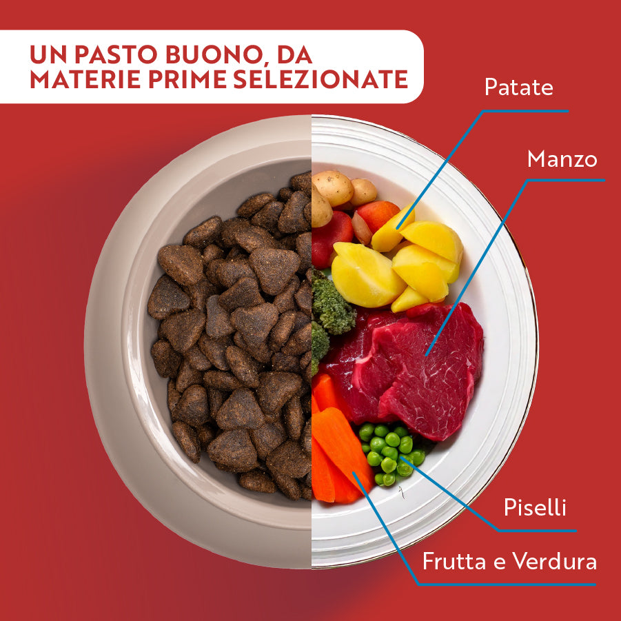 monopro lo specialista adult medium/large grain free manzo immagine4