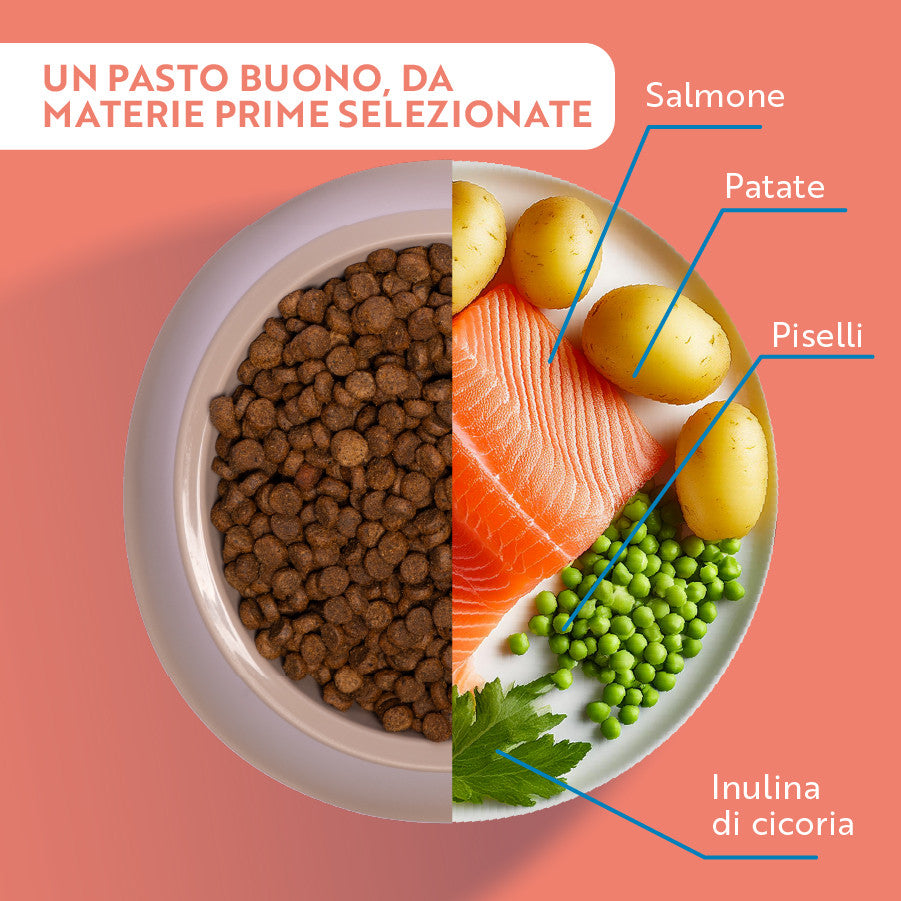 monopro lo specialista cat adult grain free salmone (scadenza: 31/01/2026) immagine4