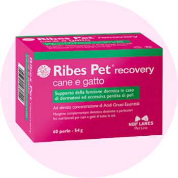 Integratori per gatti