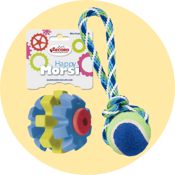 Intrattenimento per cani