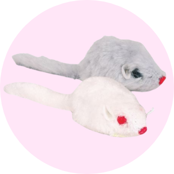 Intrattenimento per gatti