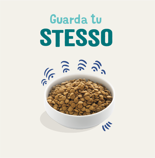 edgard & cooper adult grain free salmone immagine4