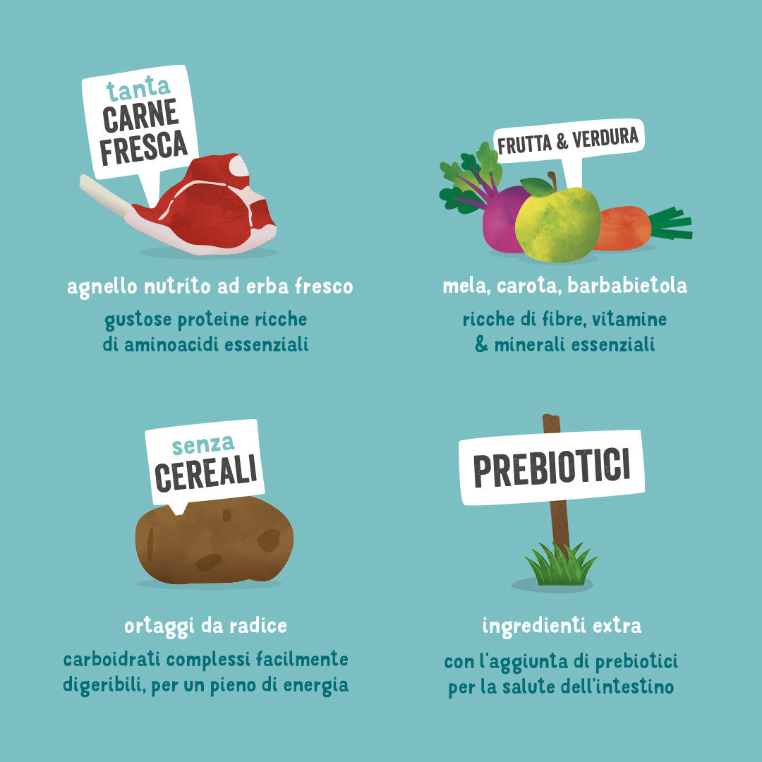 edgard & cooper adult grain free agnello immagine4