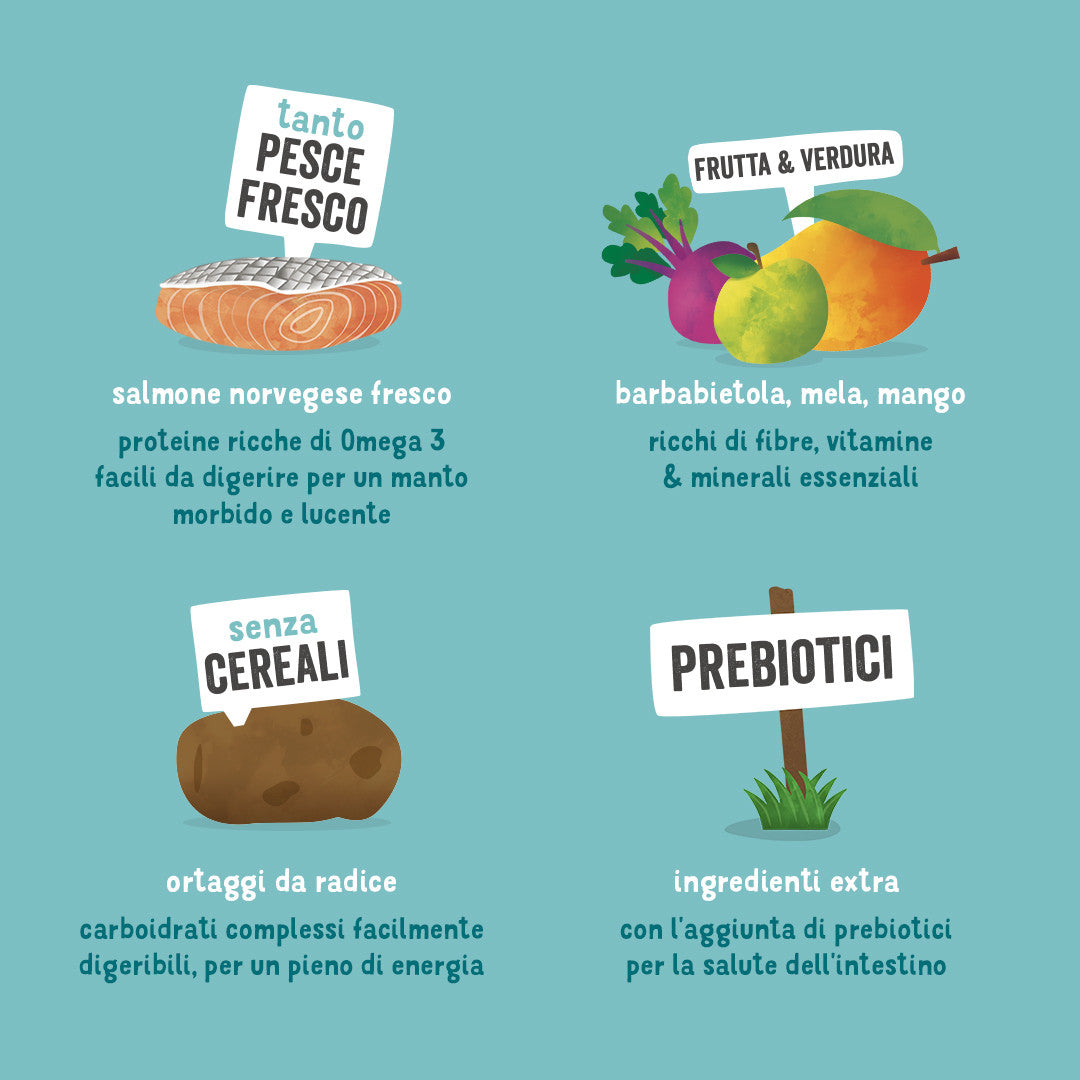 edgard & cooper adult grain free salmone immagine5