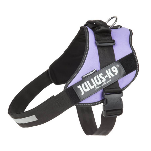 Pettorina IDC Powerharness Julius - K9 - Mini Mini - Viola