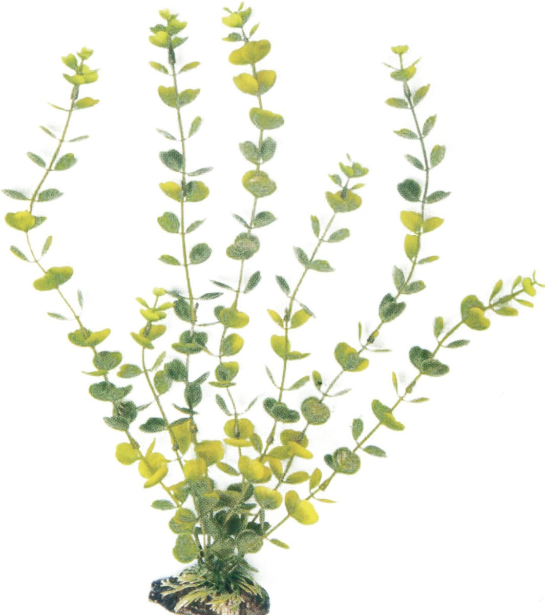 Pianta finta decorativo per Acquario Amtra - Large - Hydrocotyle