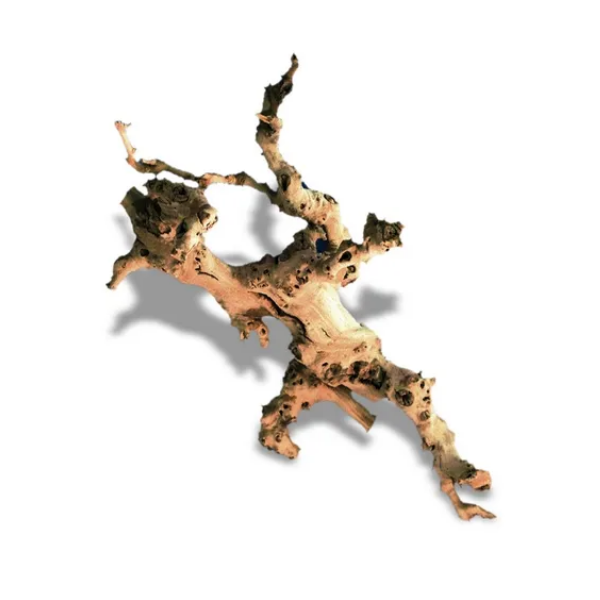 Legno di vite scortecciato decorativo Amtra - Small - 0,15-0,3 m