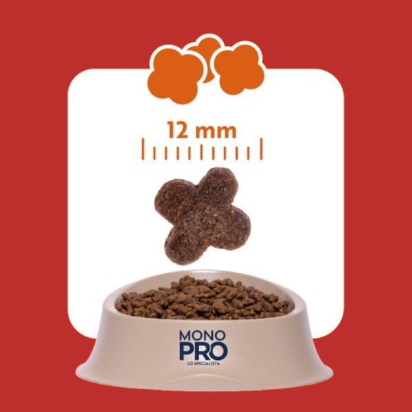 monopro lo specialista adult mini grain free manzo immagine5