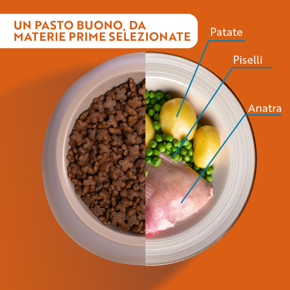 monopro lo specialista adult mini grain free anatra immagine4