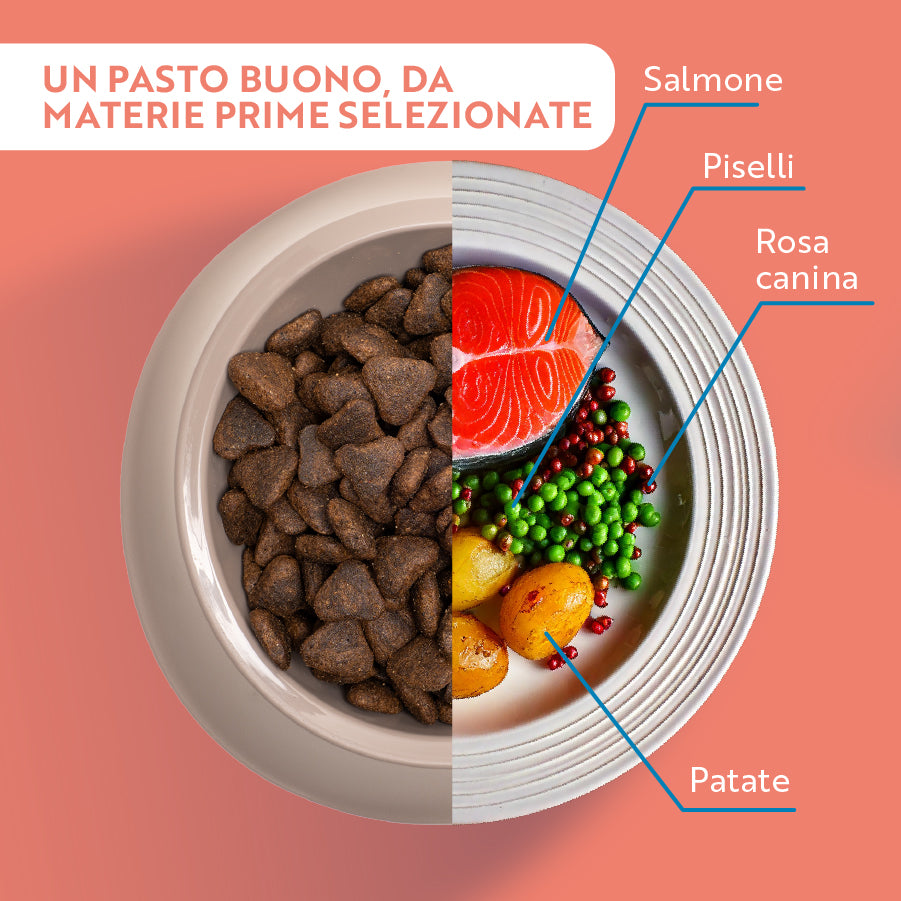 monopro lo specialista adult medium/large grain free salmone immagine4