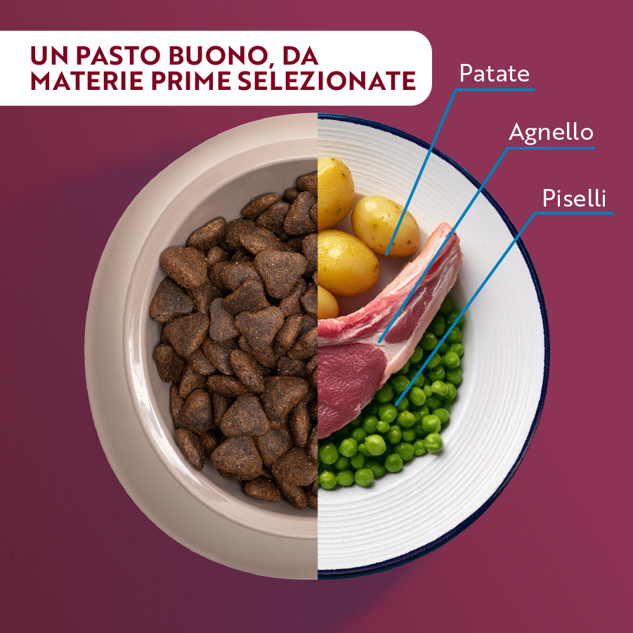 monopro lo specialista adult medium/large grain free agnello immagine4