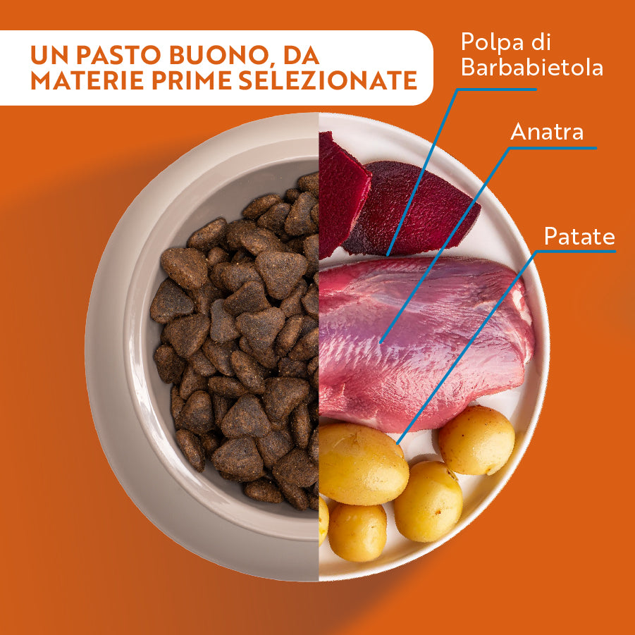 monopro lo specialista adult medium/large grain free anatra immagine4