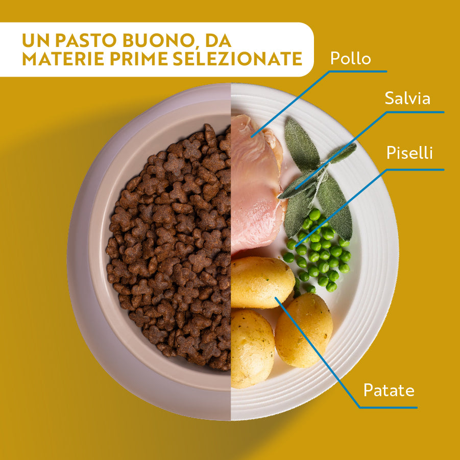 monopro lo specialista adult mini grain free pollo immagine4