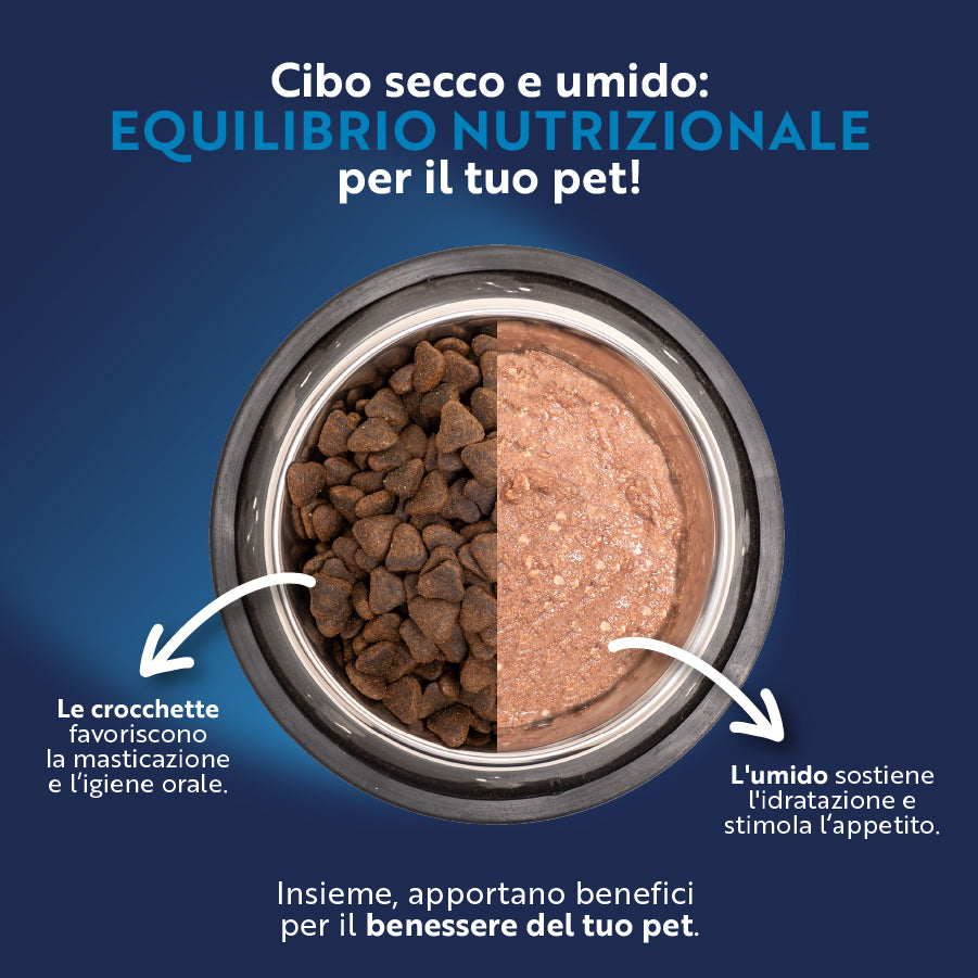 monopro lo specialista adult all breeds grain free anatra immagine6