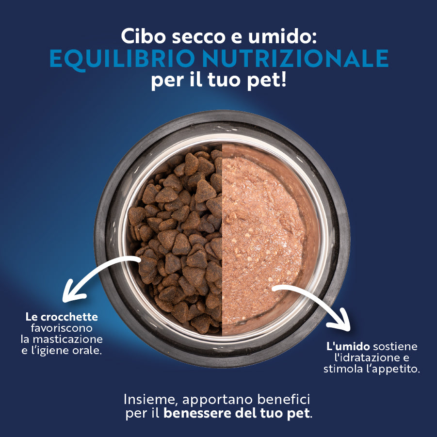 monopro lo specialista adult medium/large grain free pollo immagine7