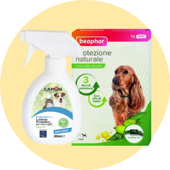 Olio di neem per cani