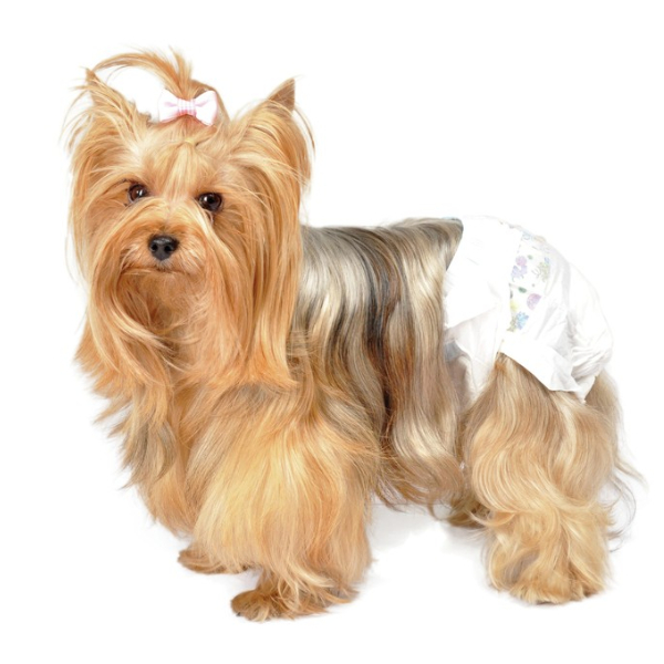 pannolini mutandina camon immagine3