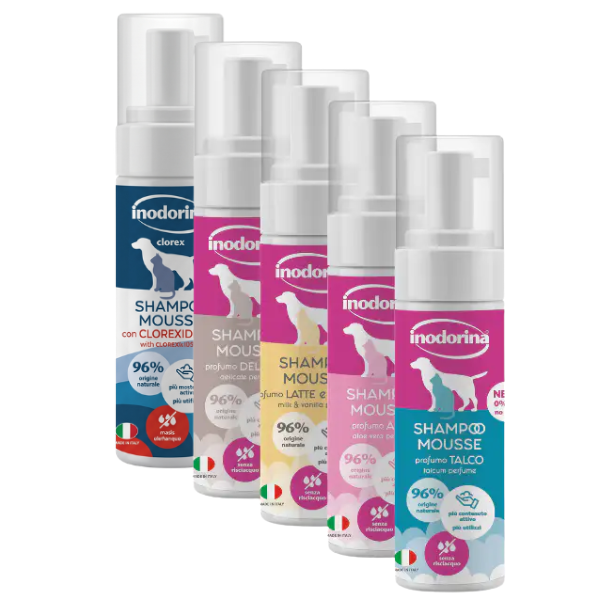 Inodorina Shampoo Mousse a Secco 250 ml
