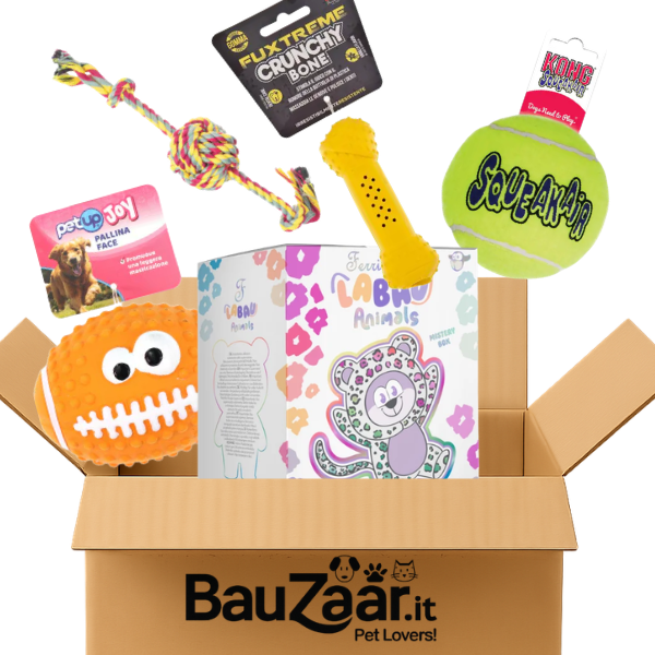 Bundle convenienza: giochi per cani Set Basic