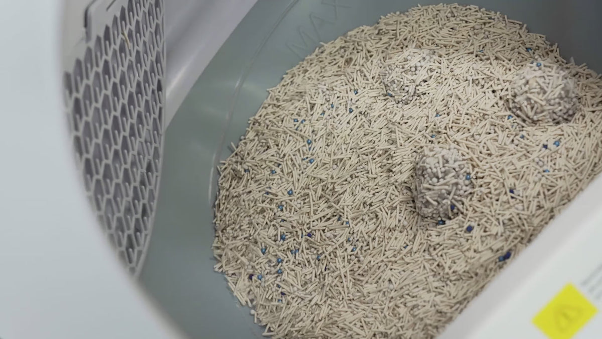 Carica video: catlink scooper: pulizia dinamica rotante