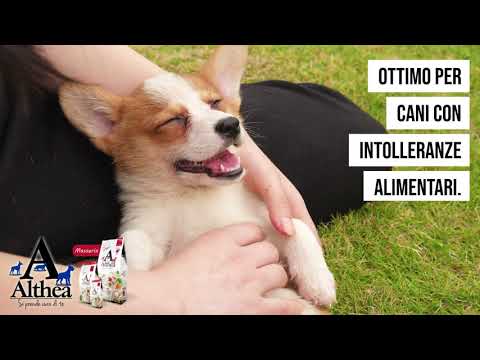 Carica video: 