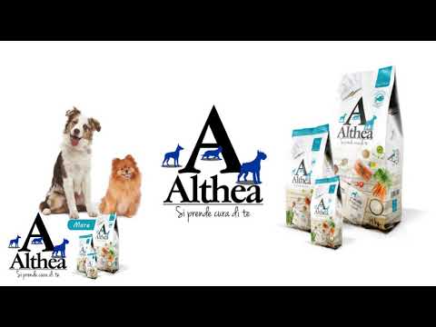 Carica video: 