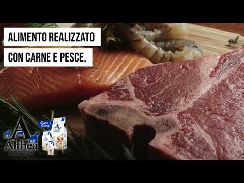 Carica video: 