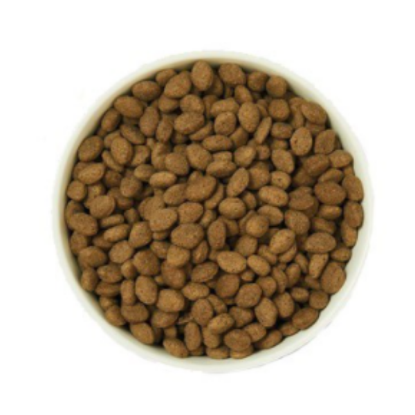 lily's kitchen adult lamb shepherd's pie immagine3