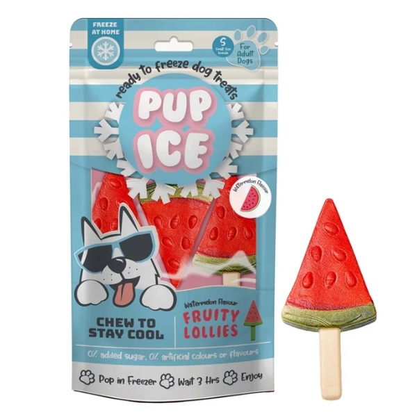 Snack per cani Gelato pronto all'uso Pup Ice 90 gr