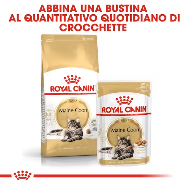 royal canin cat adult maine coon 85 gr immagine5