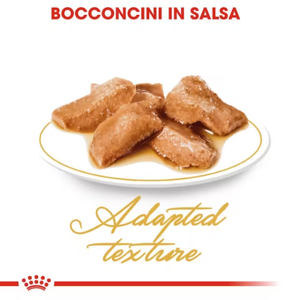 royal canin cat adult maine coon 85 gr immagine3