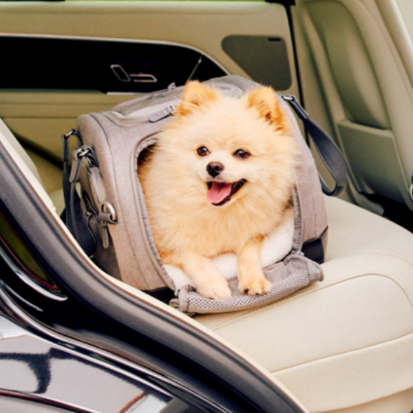 trasportino per aereo e per seggiolino auto dupree tavo immagine6