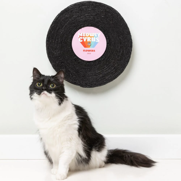 tiragraffi per gatti disco vinile fuzzyard immagine3