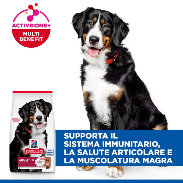hill's science plan dog adult large breeds agnello e riso immagine4