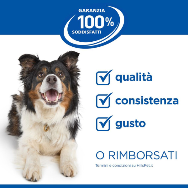 hill's science plan dog adult large breeds agnello e riso immagine8