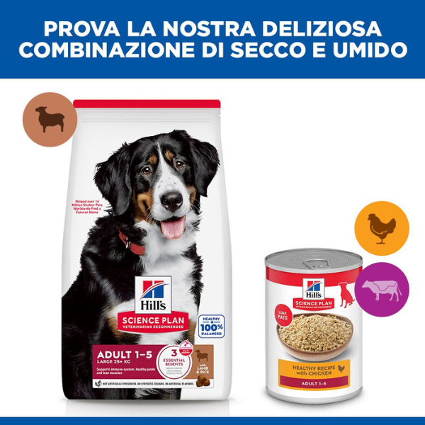 hill's science plan dog adult large breeds agnello e riso immagine7