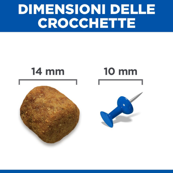 hill's science plan dog adult large breeds agnello e riso immagine6