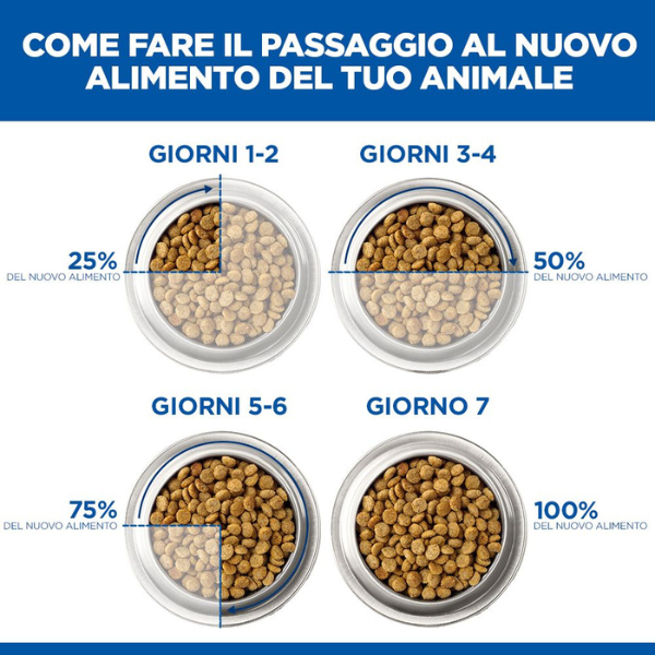 hill's science plan medium adult alimento per cani con agnello e riso immagine4