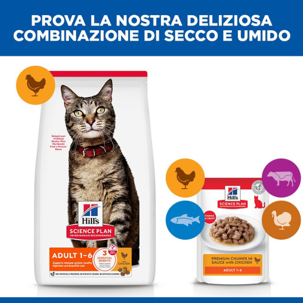 hill's science plan feline adult alimento per gatti con pollo immagine7