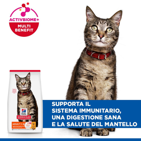 hill's science plan feline adult alimento per gatti con pollo immagine4