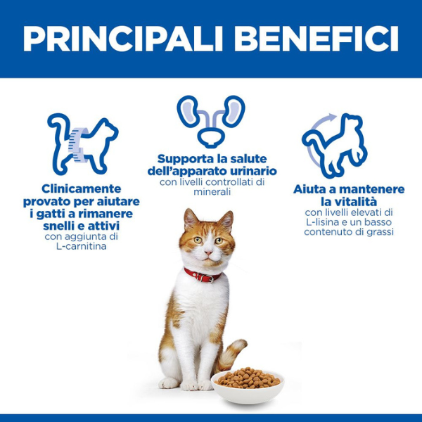 hill's science plan adult sterilised cat alimento per gatti al pollo immagine4